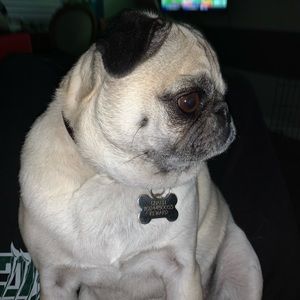 Meet your Posher, Lazaro